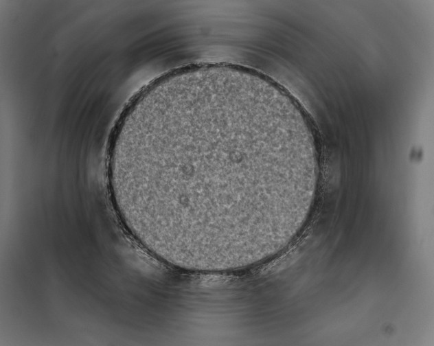 X0000101190832200807251001
