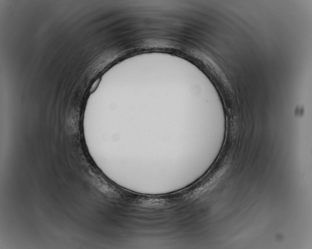 X0000101190833200807251001