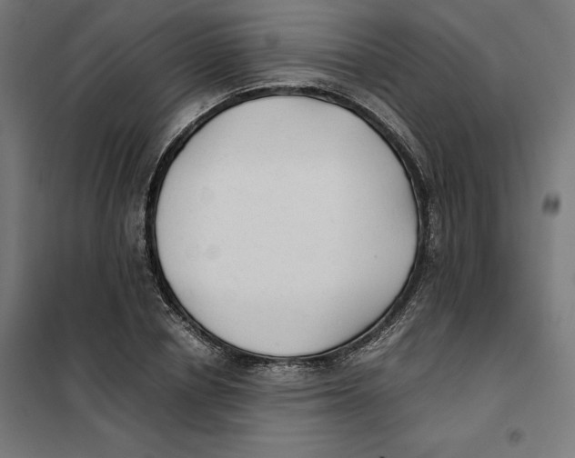 X0000101190834200807251001