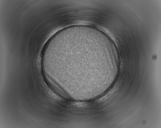 X0000101190835200807251001