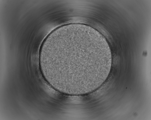 X0000101190836200807251001