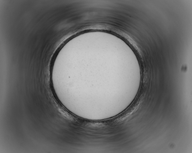 X0000101190837200807251001