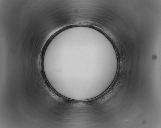 X0000101190838200807251001