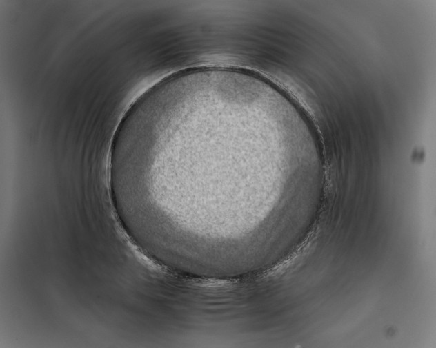X0000101190839200807251001