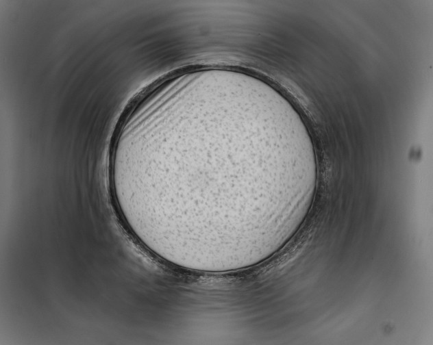 X0000101190840200807251001