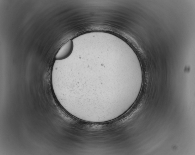X0000101190841200807251001