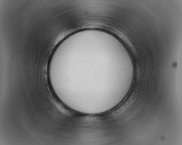 X0000101190842200807251001