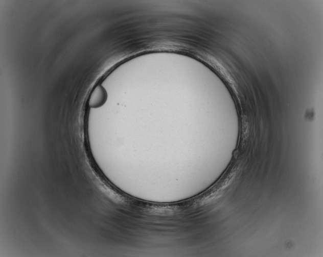 X0000101190843200807251001