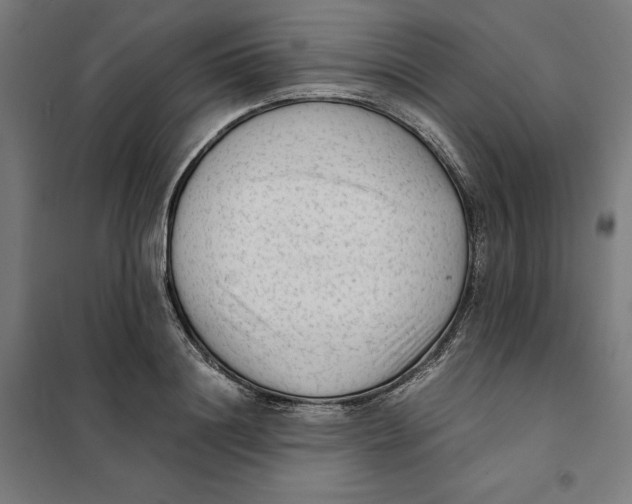 X0000101190844200807251001