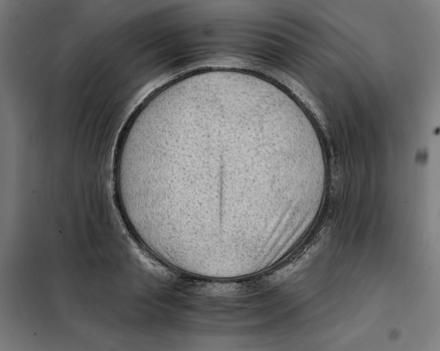 X0000101190845200807251001
