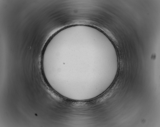 X0000101190846200807251001