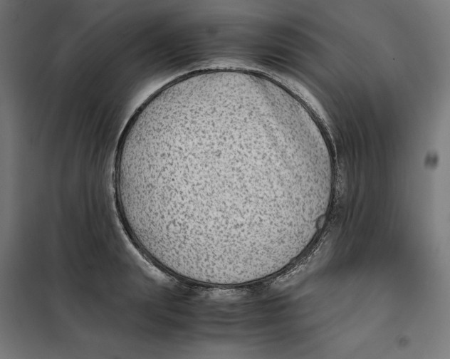 X0000101190847200807251001