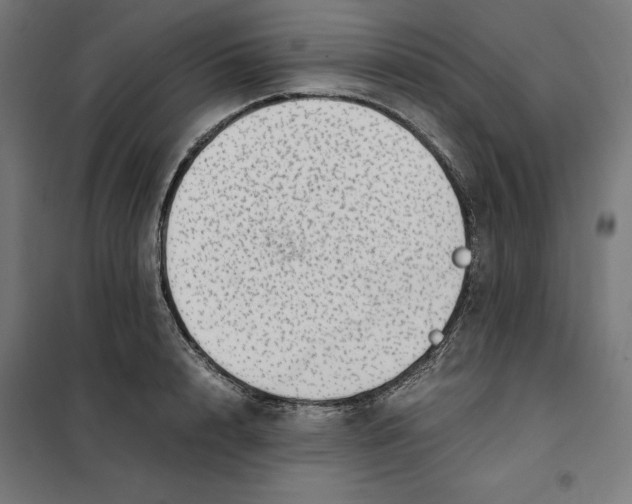X0000101190848200807251001