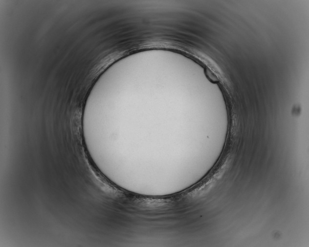X0000101190849200807251001