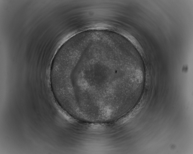X0000101190850200807251001
