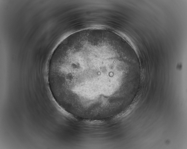X0000101190851200807251001