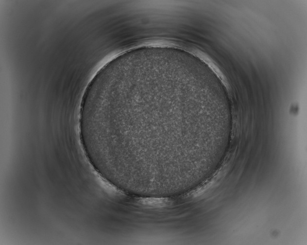 X0000101190853200807251001