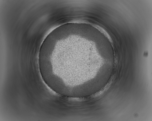 X0000101190855200807251001