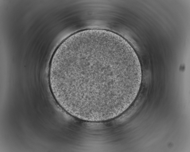 X0000101190856200807251001