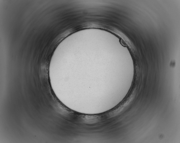 X0000101190857200807251001