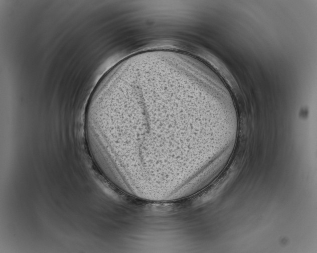 X0000101190858200807251001