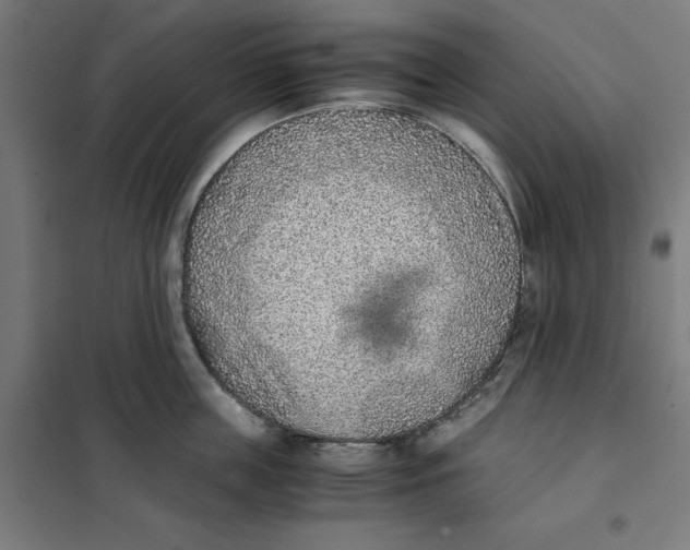 X0000101190859200807251001