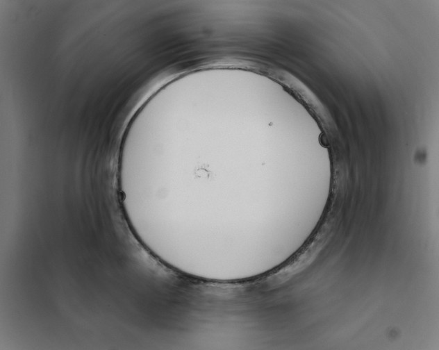 X0000101190860200807251001
