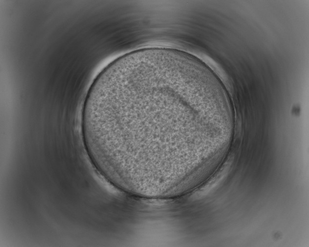 X0000101190862200807251001