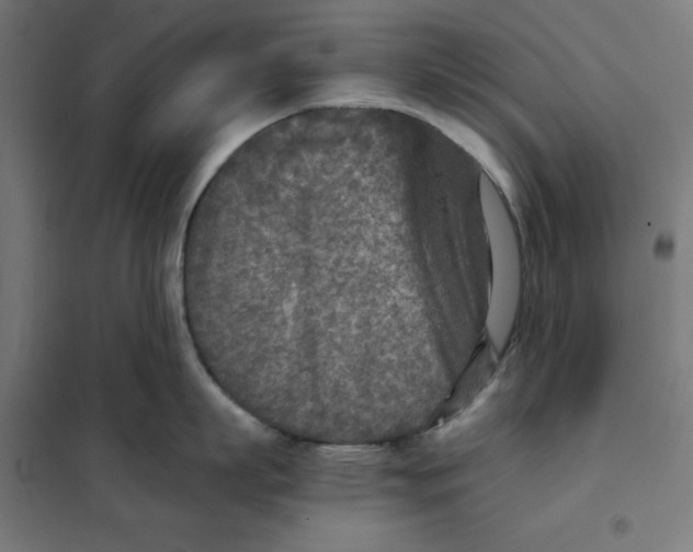X0000101190863200807251001