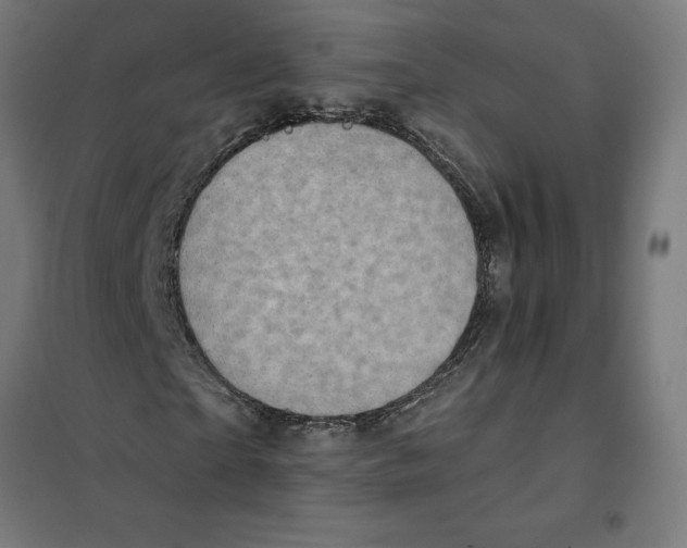 X0000101190865200807251000