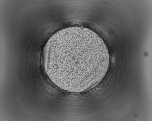 X0000101190868200807251000