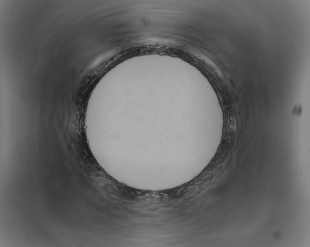 X0000101190869200807251000