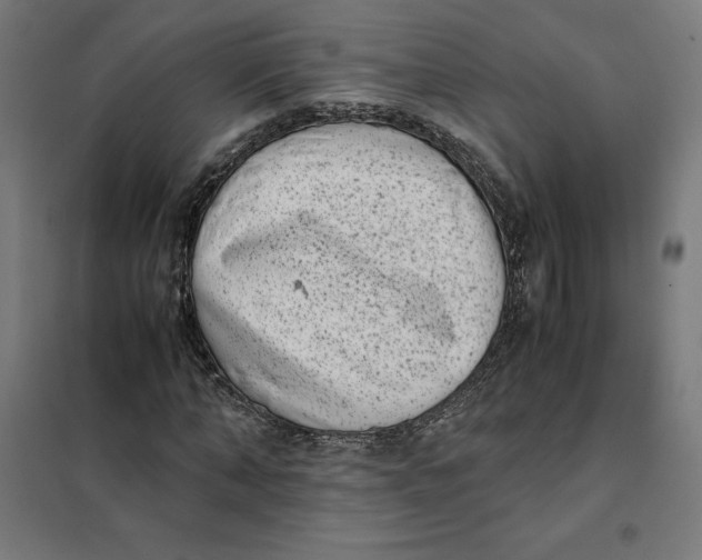 X0000101190870200807251000