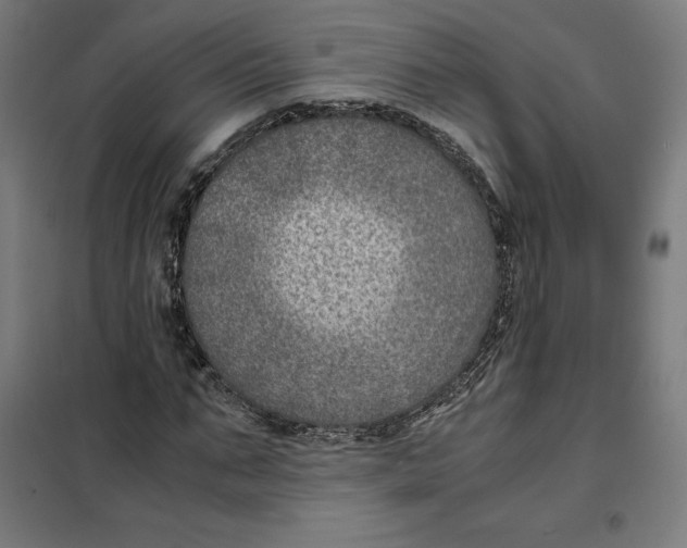 X0000101190871200807251000