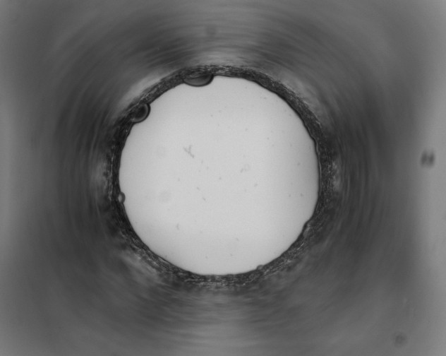 X0000101190872200807251000