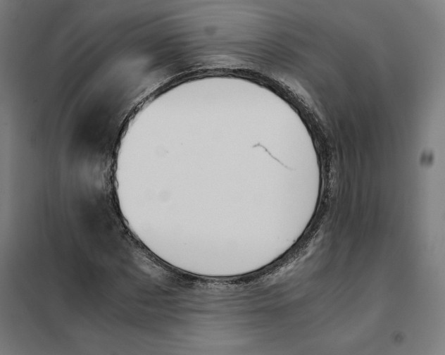 X0000101190873200807251000