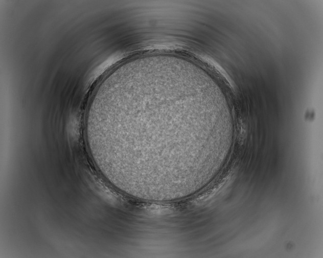 X0000101190874200807251000