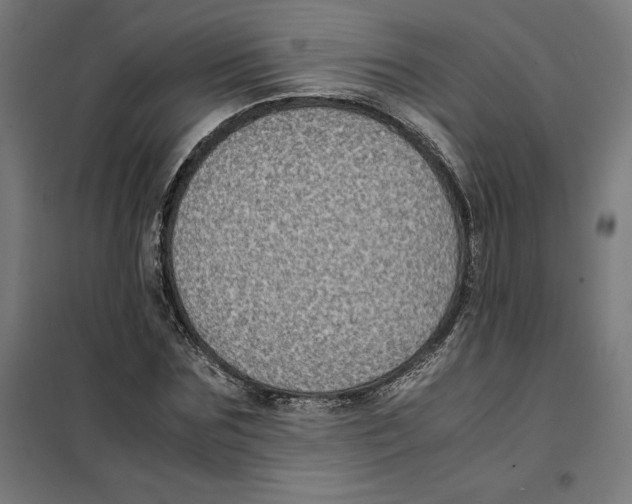 X0000101190875200807251000