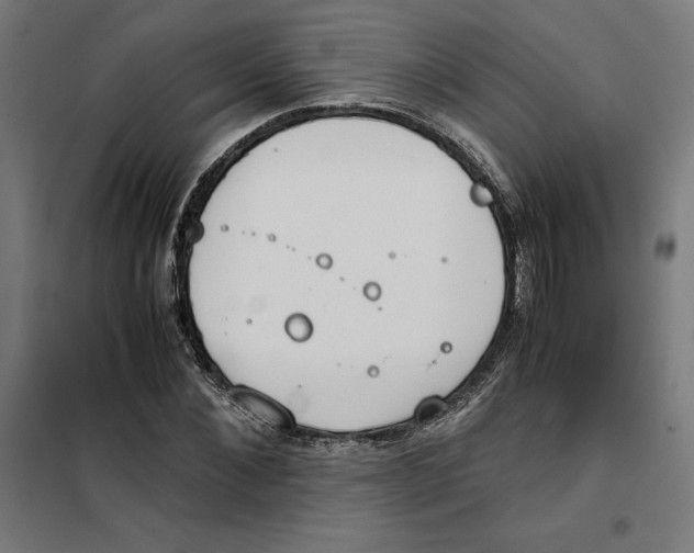 X0000101190876200807251000