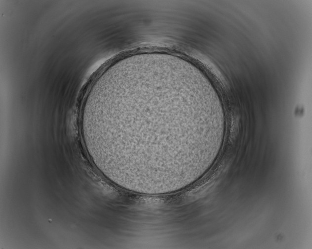 X0000101190878200807251000