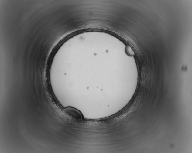 X0000101190880200807251000
