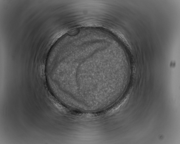 X0000101190881200807251000