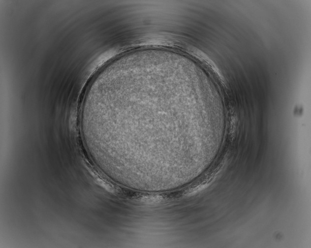 X0000101190882200807251000