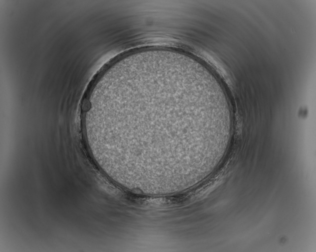 X0000101190883200807251000