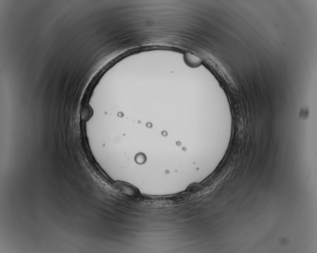 X0000101190884200807251000