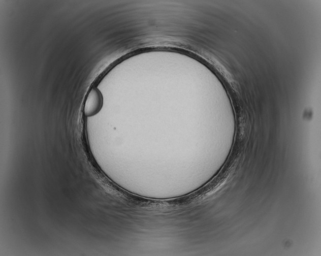 X0000101190885200807251000