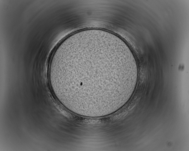 X0000101190886200807251000