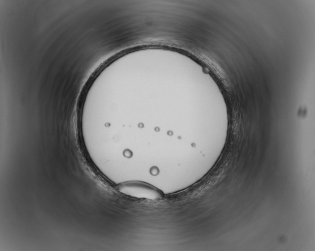 X0000101190888200807251000