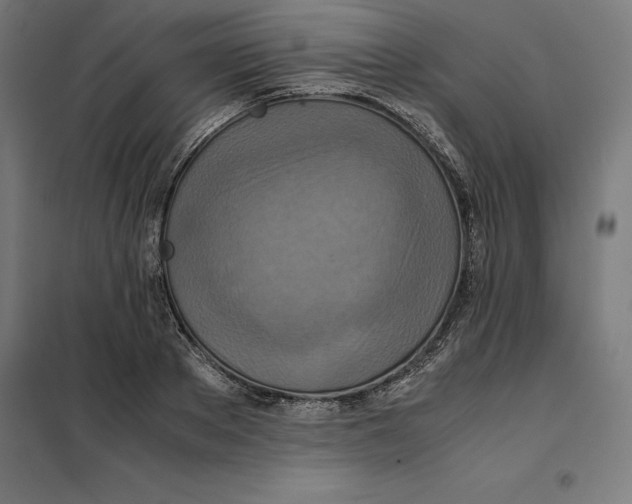X0000101190889200807251000