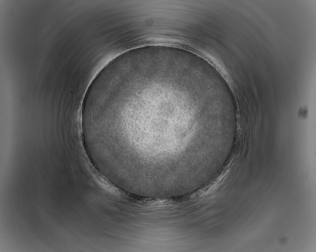 X0000101190891200807251000
